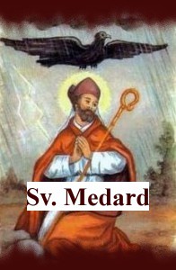 sv.-medard--patron-vodaku.jpg