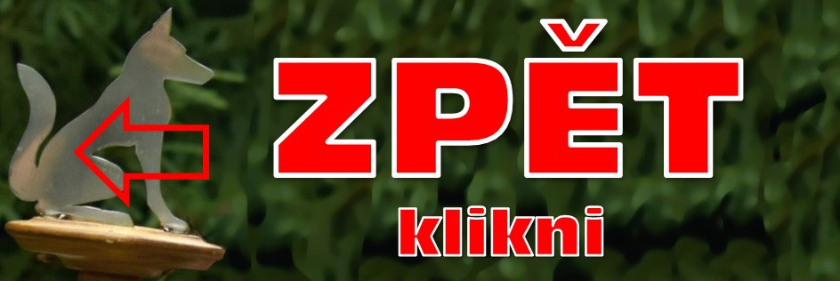 zpet.jpg