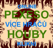 pozadi---vice-hracu-.jpg