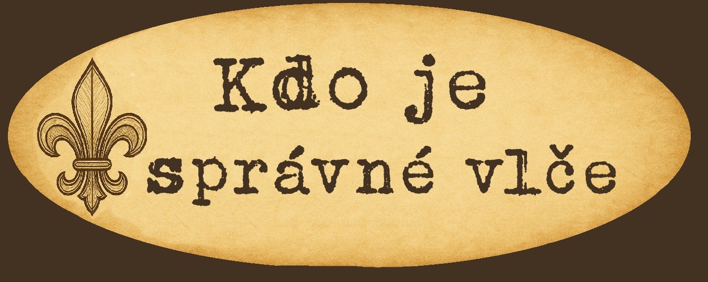 vlce.jpg